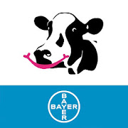 BCS Cowdition  Icon