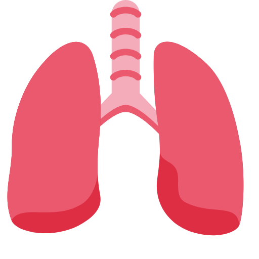 Oxygen Level Booster - Strengt logo