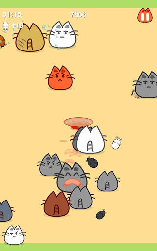 Cat fight. For food and glory