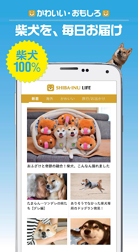 Android application 柴犬ライフ:100％柴犬情報メディア screenshort