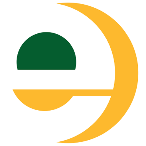 EINSP logo