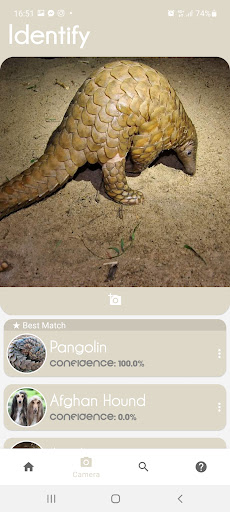 Animal Identifier Screen 2