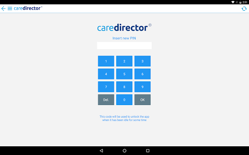 CareDirector Screen 3