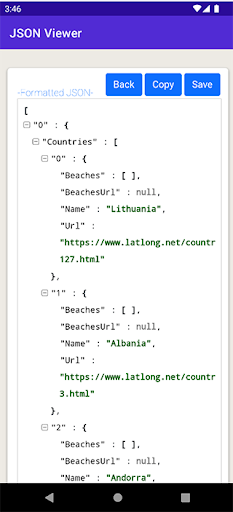 JSON Viewer & Formatter Screen 3