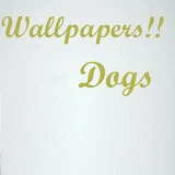 Wallpaper Dog HD icon
