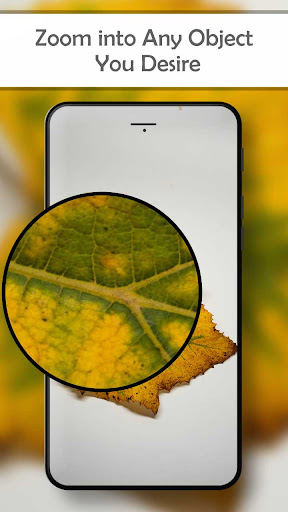 Digital Microscope Zoom Editor Screen 3