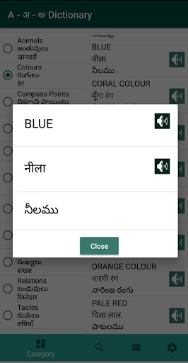 Dictionary English Hindi Telug Screen 2