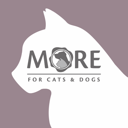 More For Mouse Racer logo