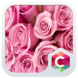 Pink Roses CLauncher Theme icon