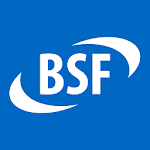 Cover Image of 下载 BSF Online  APK
