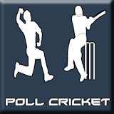 Poll Cricket new icon