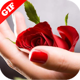 Rose day Gif - Valentinde day gif icon
