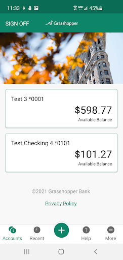 Grasshopper Bank Commercial Screen 2