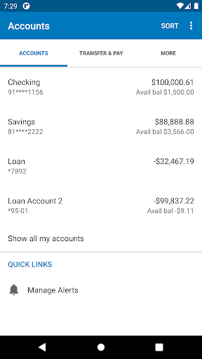 WSFCU Mobile Banking Screen 3