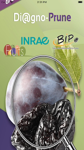 Android application Di@gno-Prune screenshort