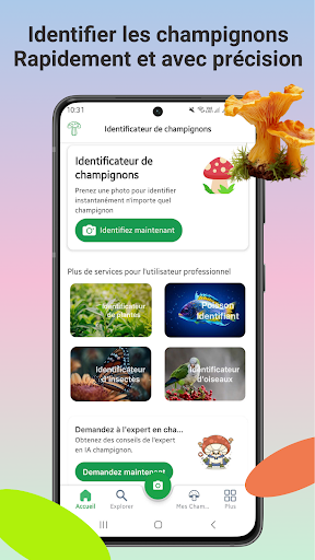 Aperçu de l'application