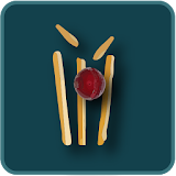 Cricket IPL 2015 icon