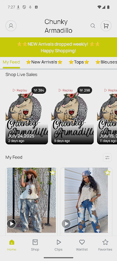 Chunky Armadillo screenshot 1