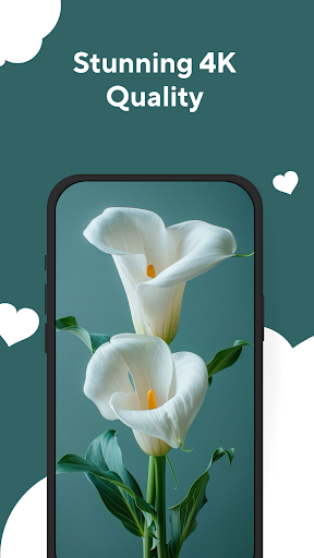 Screenshot of Flower Wallpapers Rose 4K - HD