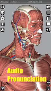 Captures d'écran d'anatomie 3D