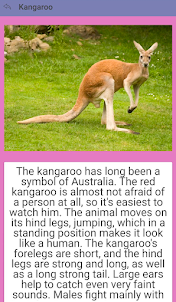 Australian animal species
