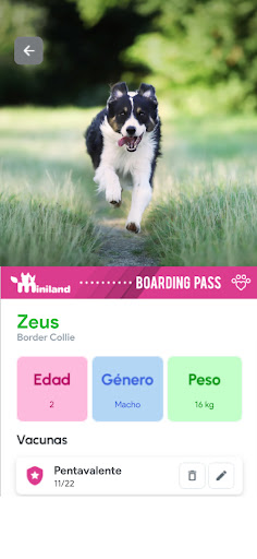 Miniland App Screen 2