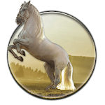 Cover Image of ดาวน์โหลด Running Horse HD Wallpaper 1.1.4 APK