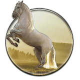Running Horse HD Wallpaper icon