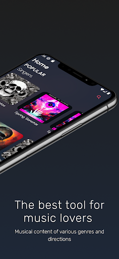 Music & Video Online VidMusic Screen 2