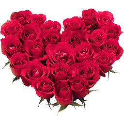 تصویر نماد WASticker My Flowers Stickers