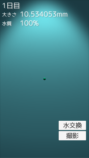 まりも育成ゲーム screenshot 6