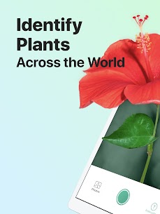 PictureThis Mod Apk Pro version to Identify Plant, Flower, Weed and More 8