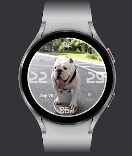 Android application FURRY FRIEND - DOGGY COOL screenshort