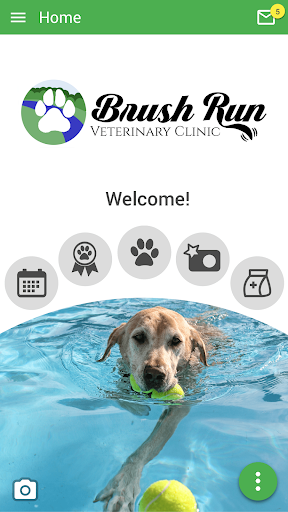 Android application Brush Run Vet Clinic screenshort