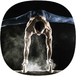 Icon image Gymnastics Training Guide