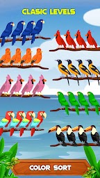 Bird Sort Color Puzzle Games