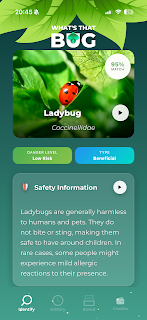What's That Bug?