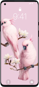 Cute Bird Wallpaper