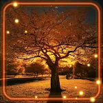 Cover Image of Download Night Autumn HD  APK