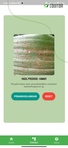Coditor: Corn Disease Detector Screen 2