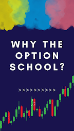 THE OPTION SCHOOL