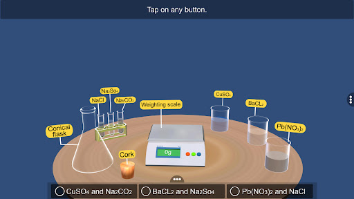 Law of Conservation of Mass Screen 3