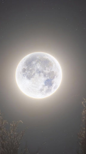 Android application Moon Wallpapers screenshort