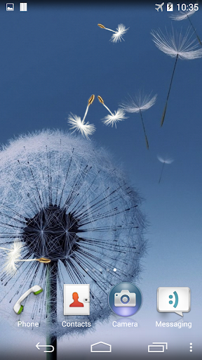 Dandelion Live Wallpaper Screen 2