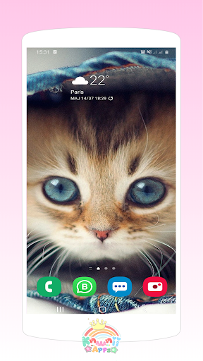 Mignon Chats Fonds D Ecran Applications Sur Google Play