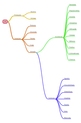 miMind - Easy Mind Mapping - Productivity - apps