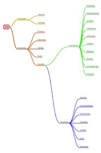 miMind - Easy Mind Mapping Screenshot