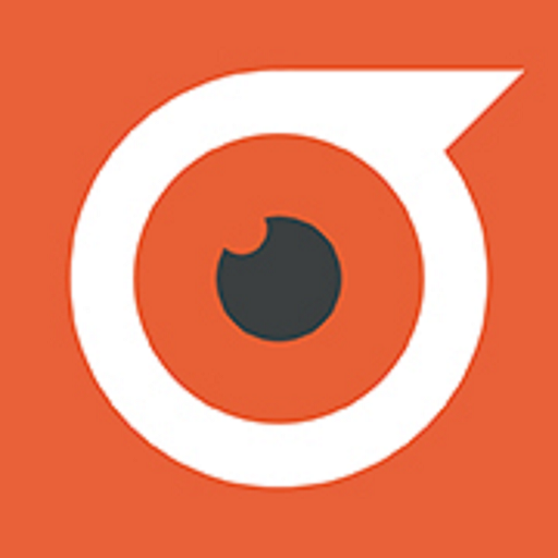 BRAVOLesson logo