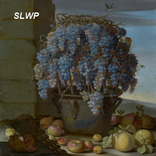 Flower basket SLWP