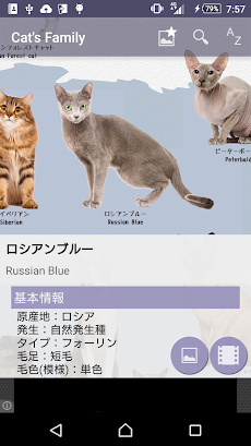 猫図鑑のおすすめ画像3